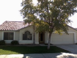 Property of the Month